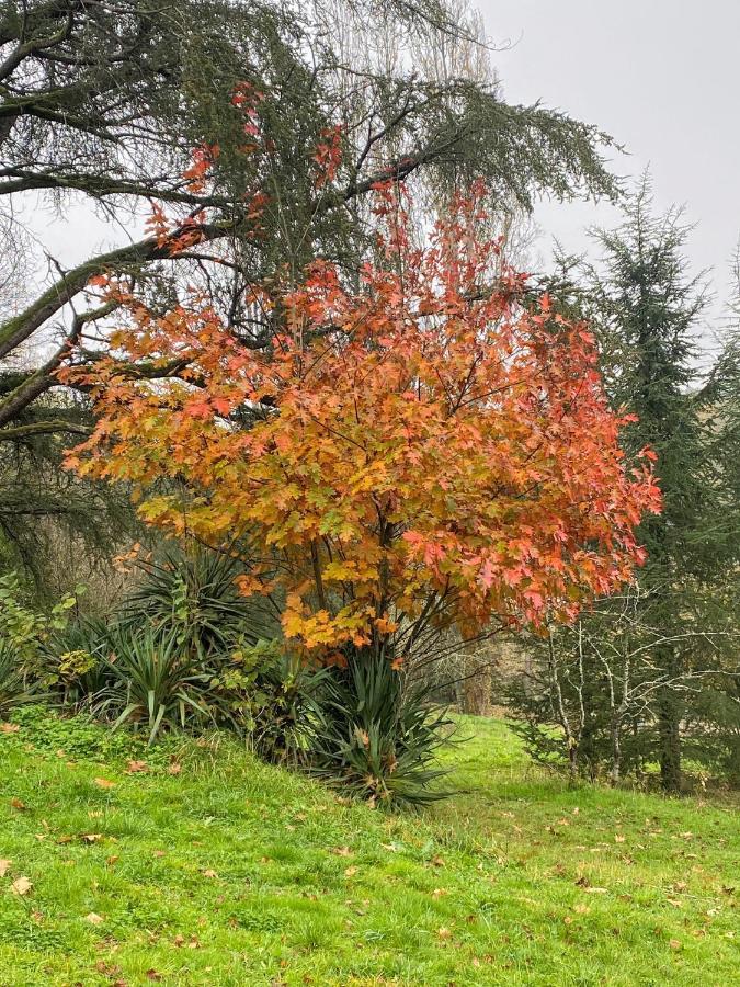 Domaine Le Manoir, Gites De Charme Et De Caractere Avec Piscines Privatisees Et Spa Nordique Fossemagne Exteriör bild
