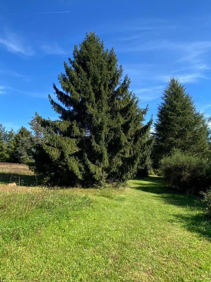 Domaine Le Manoir, Gites De Charme Et De Caractere Avec Piscines Privatisees Et Spa Nordique Fossemagne Exteriör bild