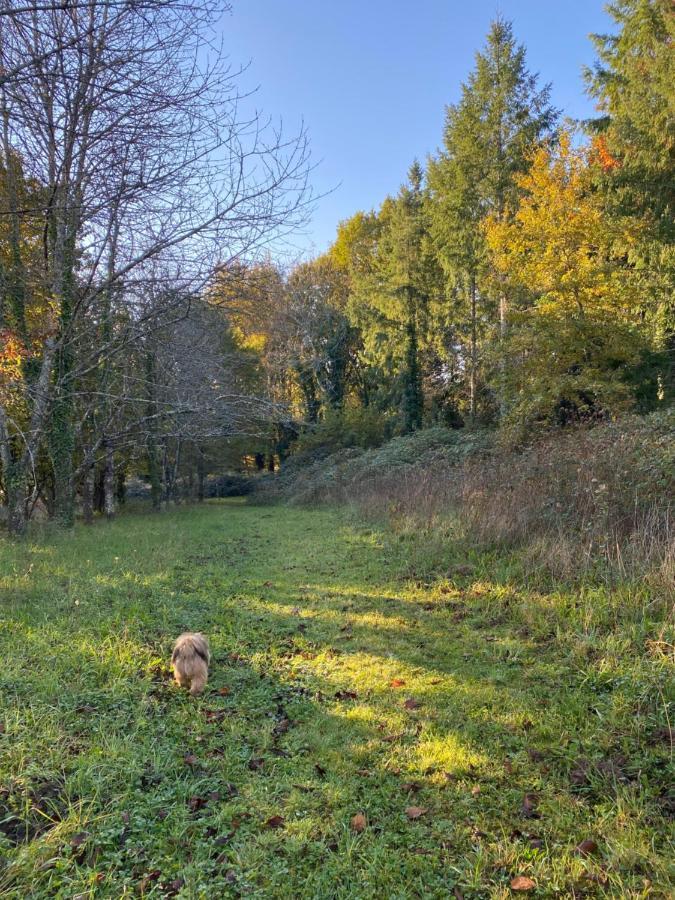 Domaine Le Manoir, Gites De Charme Et De Caractere Avec Piscines Privatisees Et Spa Nordique Fossemagne Exteriör bild