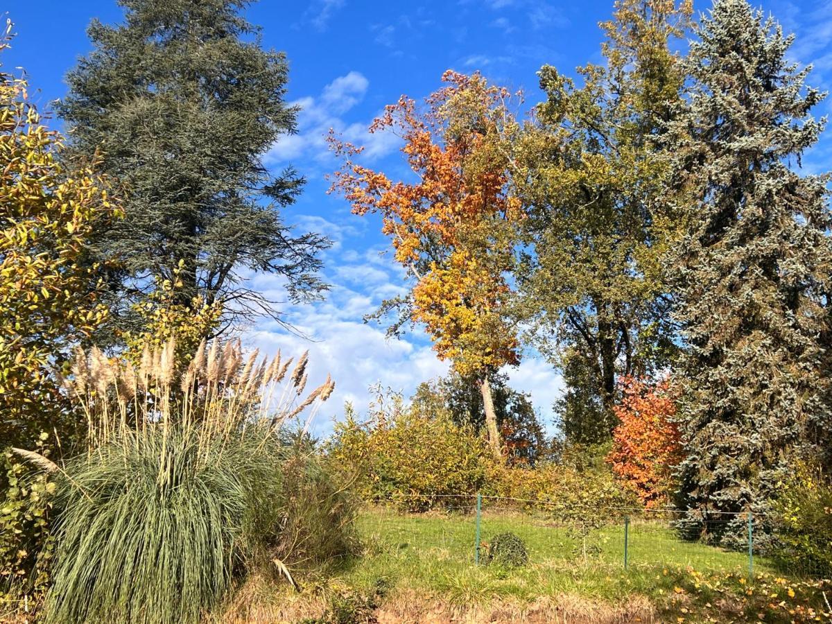 Domaine Le Manoir, Gites De Charme Et De Caractere Avec Piscines Privatisees Et Spa Nordique Fossemagne Exteriör bild
