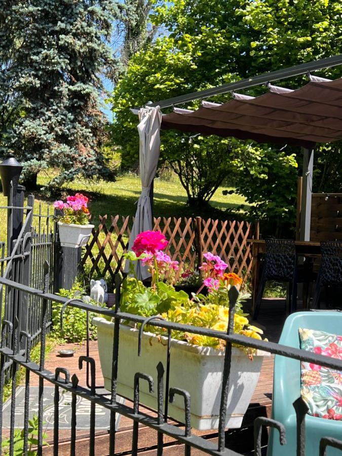 Domaine Le Manoir, Gites De Charme Et De Caractere Avec Piscines Privatisees Et Spa Nordique Fossemagne Exteriör bild